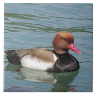Azulejo Pato en el agua