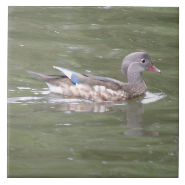 Azulejo Pato en el lago Tile (Frente)