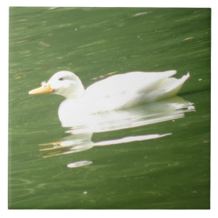 Azulejo Pato en la tela del agua