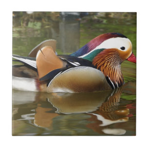 Azulejo pato mandarín