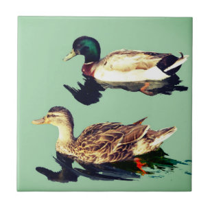 Azulejo Patos