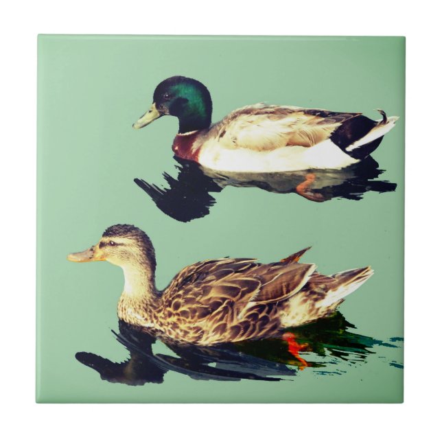 Azulejo Patos (Frente)