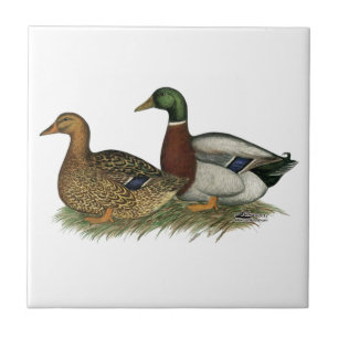 Azulejo Patos de Ruán