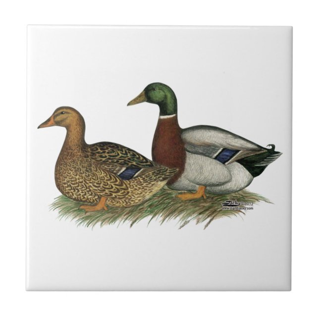 Azulejo Patos de Ruán (Frente)