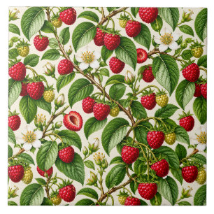 Azulejo Patrón Botánico de Frambuesa y Flor