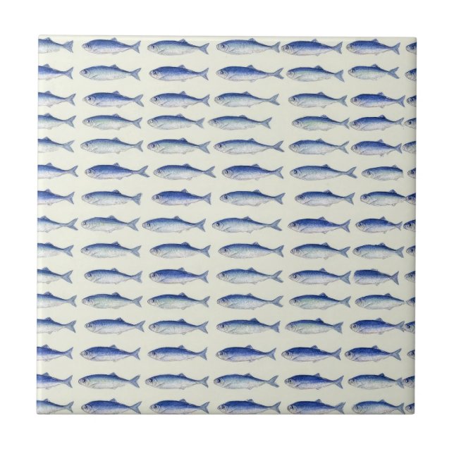 Azulejo Patrón costero minimal horizontal de sardinas azul (Frente)