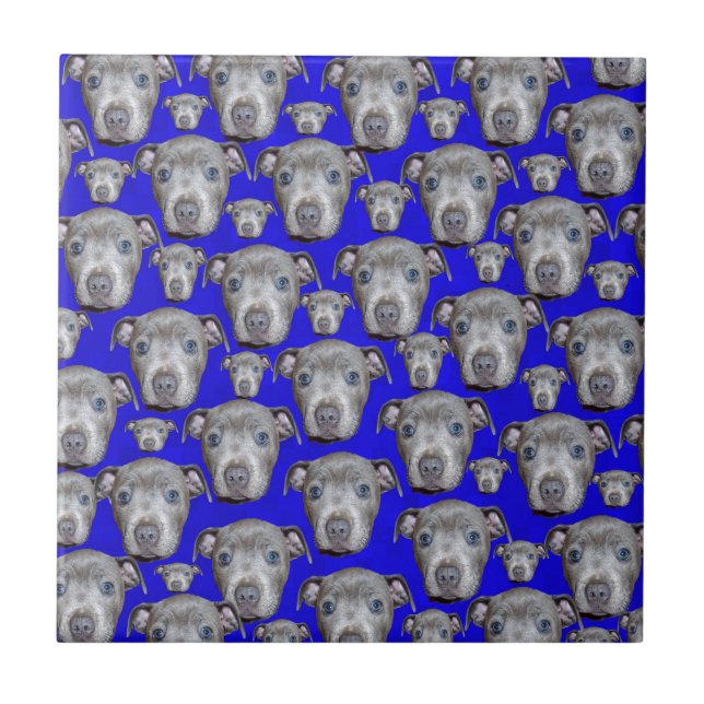 Azulejo Patrón de Cachorro Staffordshire Bull Terrier (Frente)