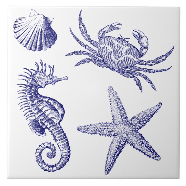 Azulejo Patrón de cangrejo de estrella de mar de Ocean Bea (Frente)
