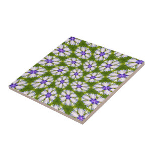 Azulejo Patrón de cornflores blancas