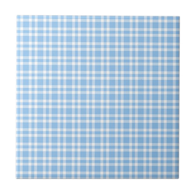 Azulejo Patrón de Cuadros Azules y Blancos (Frente)
