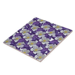 Azulejo Patrón de Flor de Columbina