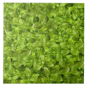 Azulejo Patrón de Hojas de Albahaca