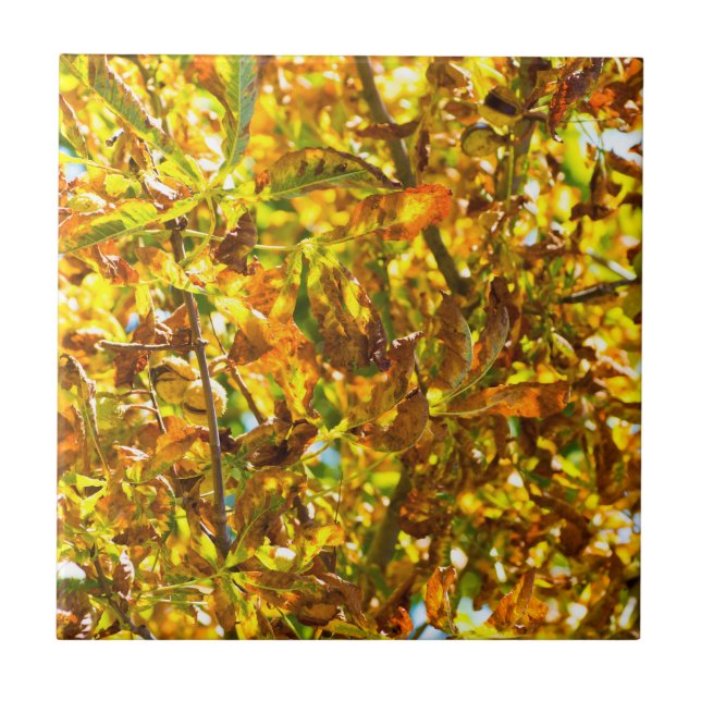 Azulejo Patrón de hojas de otoño (Frente)