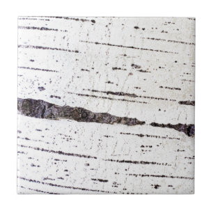 Azulejo Patrón de la corteza de Birch