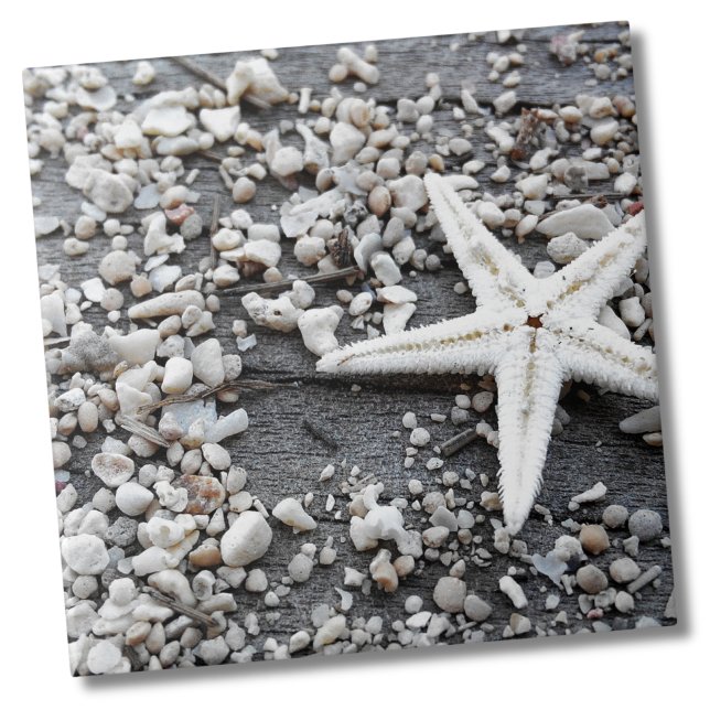 Azulejo Patrón de la cubierta marina costera (Nautical White Starfish Shell Gray Sand Beach Ceramic Tile)