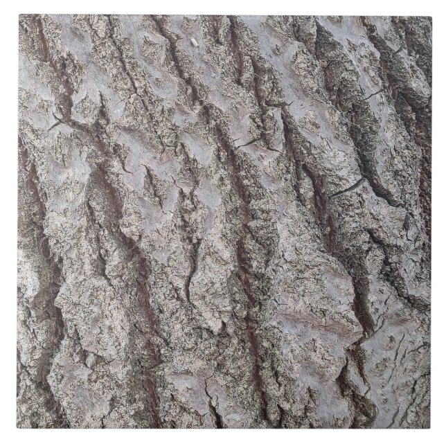 Azulejo Patrón de madera de corteza (Frente)