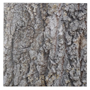 Azulejo Patrón de madera de corteza cerámica