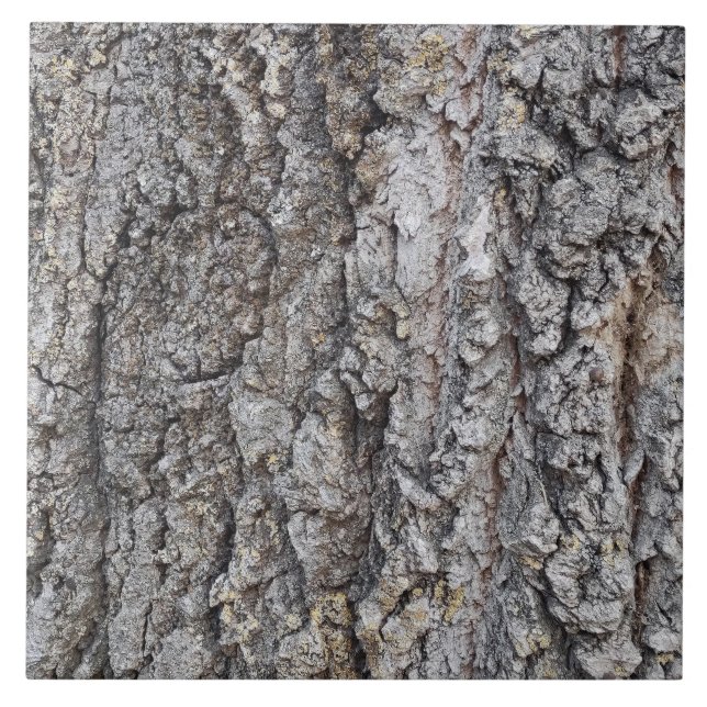 Azulejo Patrón de madera de corteza cerámica (Frente)