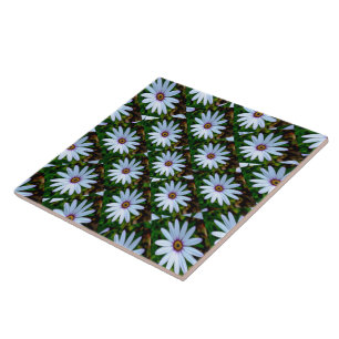 Azulejo Patrón de margarita blanca