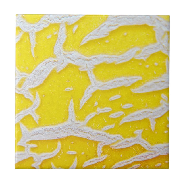 Azulejo Patrón de melón amarillo (Frente)