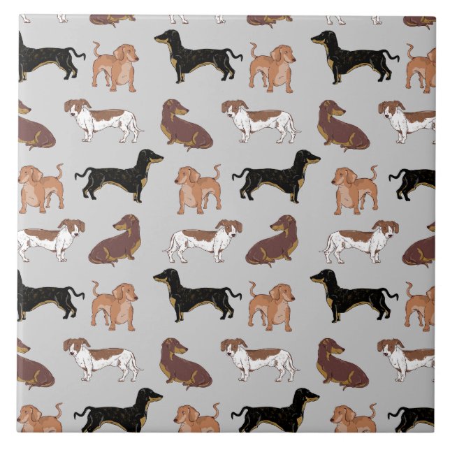 Azulejo Patrón de perro de Dachshund (Frente)