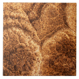 Azulejo Patrón de piedra natural