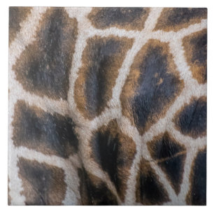 Azulejo Patrón de piel de jirafa en cerámica cercana