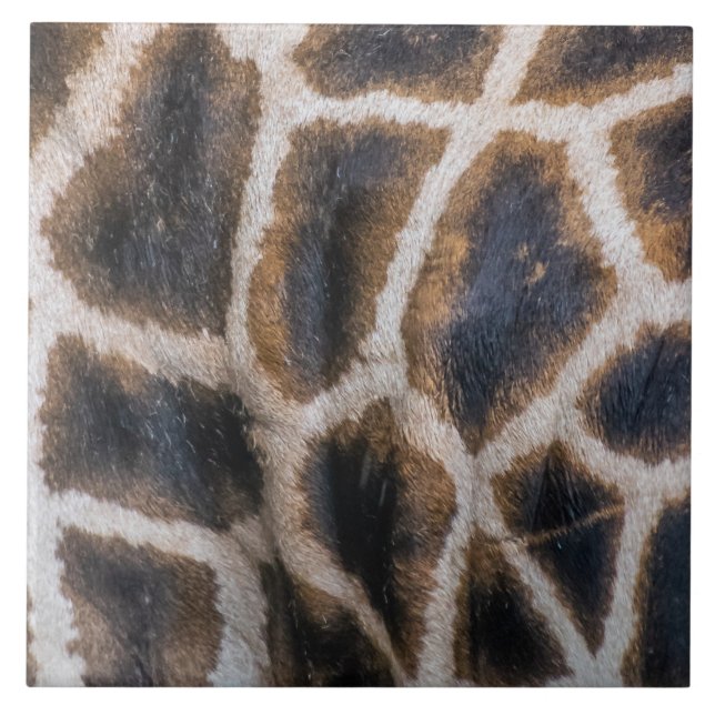 Azulejo Patrón de piel de jirafa en cerámica cercana (Frente)