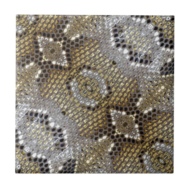 Azulejo Patrón de serpiente python impreso en un animal de (Frente)