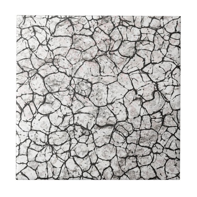 Azulejo Patrón Digital de Mármol Agrietado (Frente)