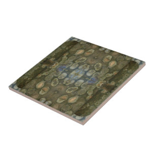 Azulejo Patrón en caja de gema de sedimento marino del océ