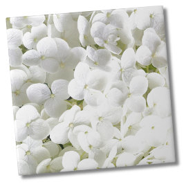 Azulejo Patrón floral blanco de Hydrangea
