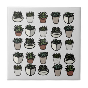Azulejo Patrón mini succulento lindo