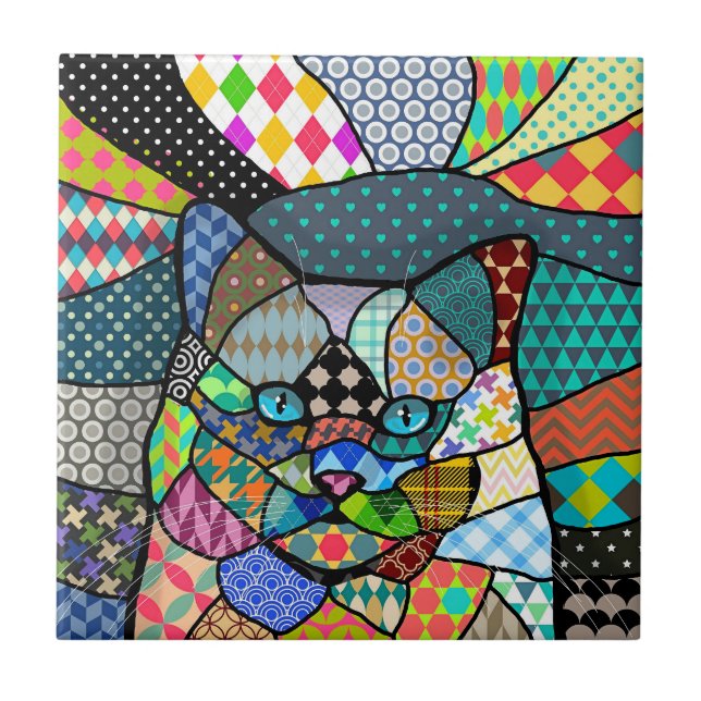 Azulejo Patrón multicolor Cat 691 (Frente)