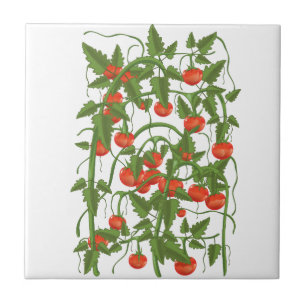 Azulejo Patrón Tomate