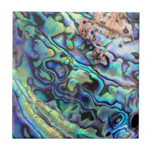 Azulejo Paula abalone shell