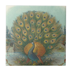 Azulejo Pavo real