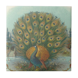 Azulejo Pavo real