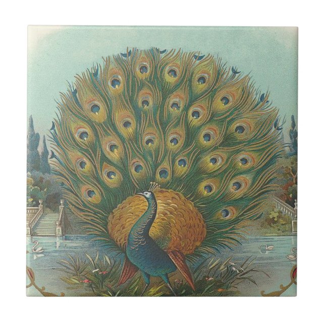 Azulejo Pavo real (Frente)