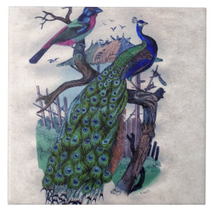 Azulejo Pavo real bonito con el pájaro