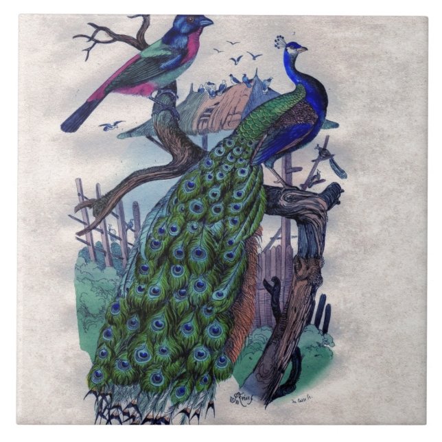 Azulejo Pavo real bonito con el pájaro (Frente)