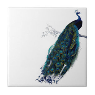 Azulejo Pavo real del vintage