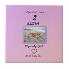 Azulejo Pawprint Heart Everyday Pet