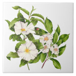 Azulejo 'Paz en la Tierra' en una tela cerámica