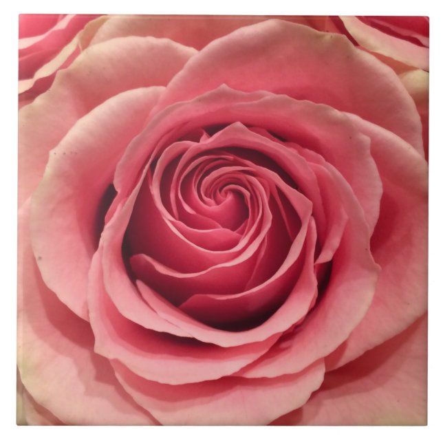Azulejo Peach Rosa Tile Cerámico (Frente)