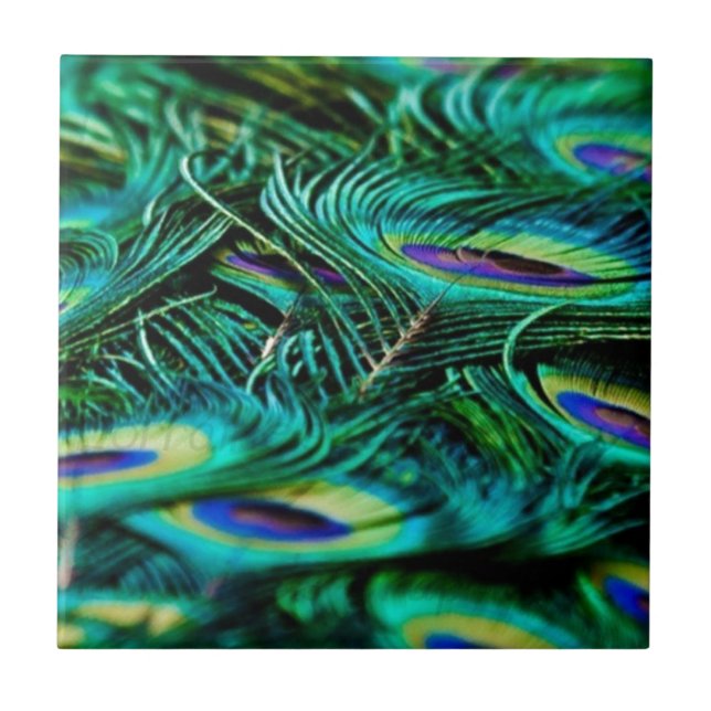 Azulejo Peacock Feathers (Frente)