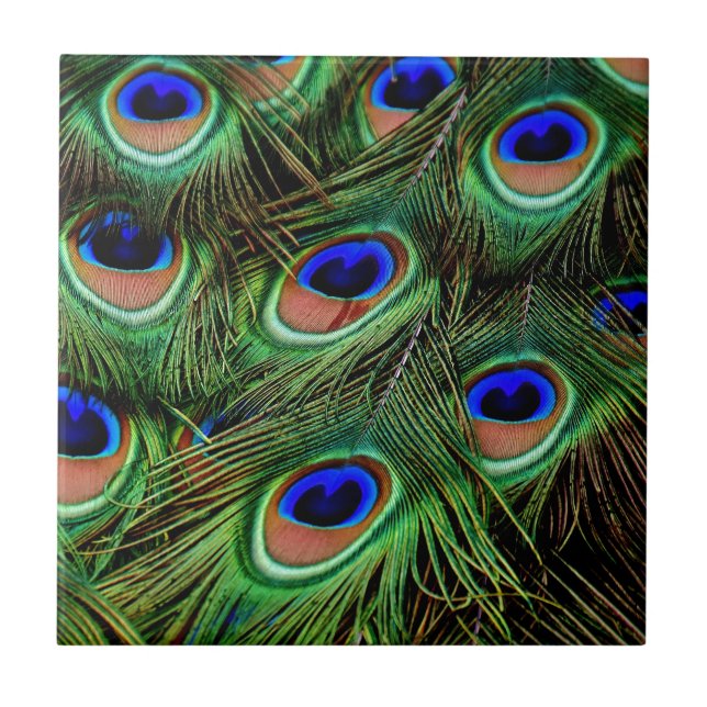 Azulejo Peacock Feathers (Frente)