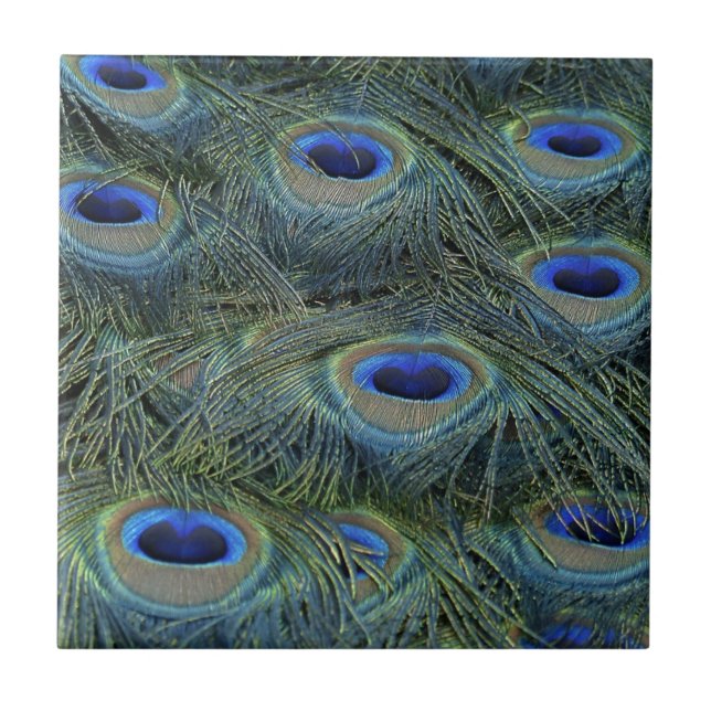Azulejo Peacock Feathers (Frente)