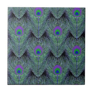 Azulejo Peacock Feathers Black Background