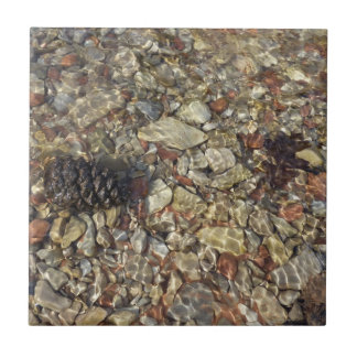 Azulejo Pebbles en la fotografía de la naturaleza de Taylo